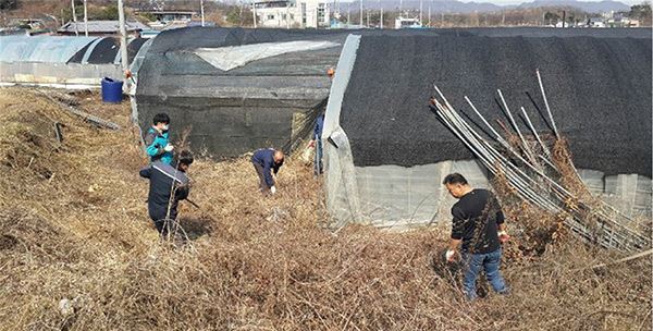 메인사진