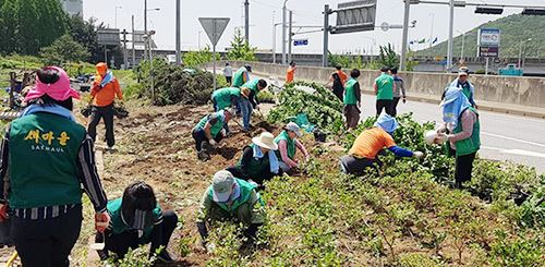 석수IC 꽃밭 조성 / 사진=안양시