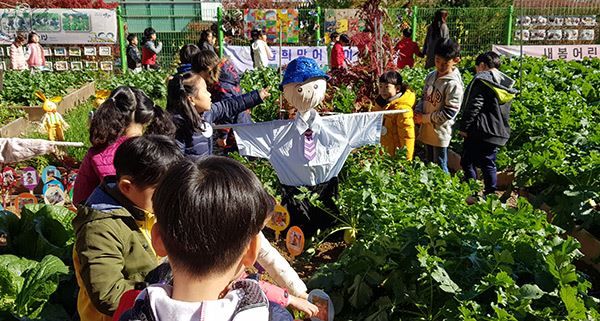 행복나눔 마을텃밭 축제 / 사진=안양8동