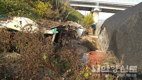 안양시, ‘고속도로 주변 쓰레기 몸살’