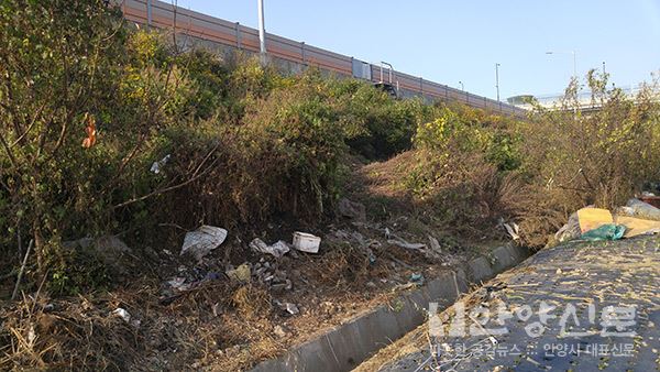 안양시, ‘고속도로 주변 쓰레기 몸살’