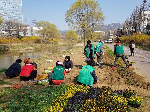 관양2동‘사랑의 텃밭’ / 사진=관양2동