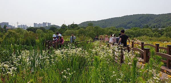 석수2동 연현습지 가을축제 / 사진=석수2동