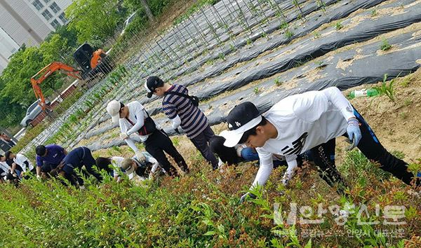 박달중학교 학생들 서조회관 꽃동산 환경정화 펼쳐