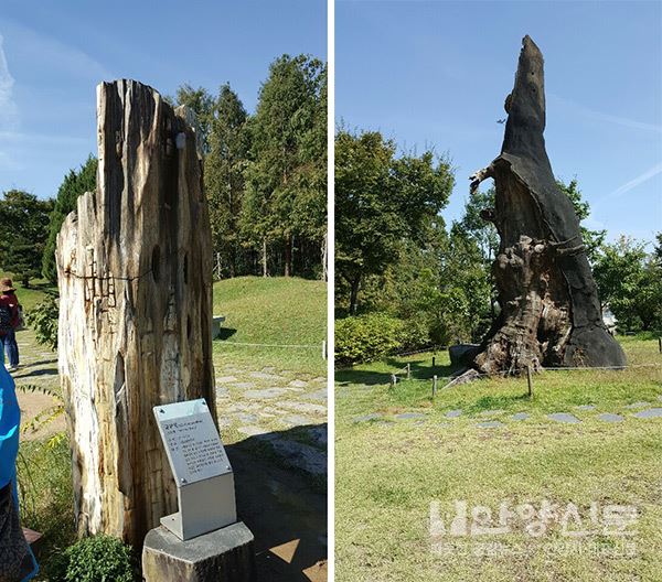 경기실버방송 실버영상단, 제1회 워크숍 개최