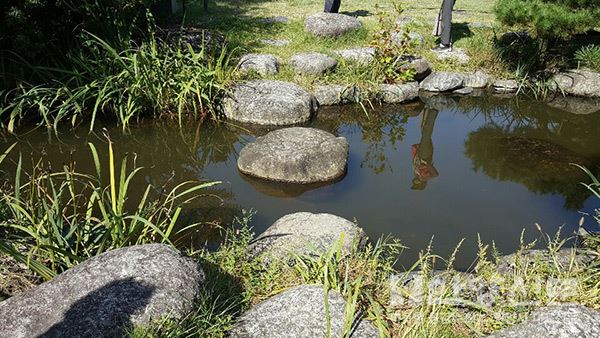 경기실버방송 실버영상단, 제1회 워크숍 개최