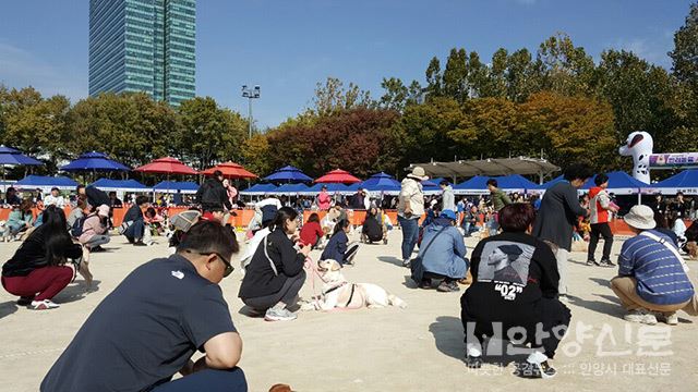 ‘댕댕이들 모여!’ 안양반려동물사랑나눔축제 성황리 개최