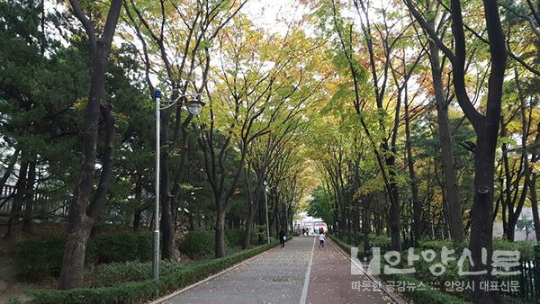 유쾌한 운치와 즐거운 가을바람이 있는 곳 ‘평촌 향촌 마을길’