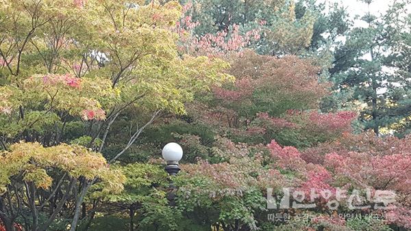 유쾌한 운치와 즐거운 가을바람이 있는 곳 ‘평촌 향촌 마을길’