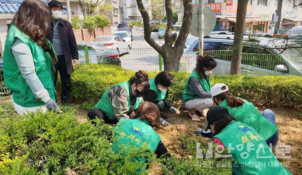 관양1동 새마을부녀회, 꽃도 심고, 어린이 안전도 지키고