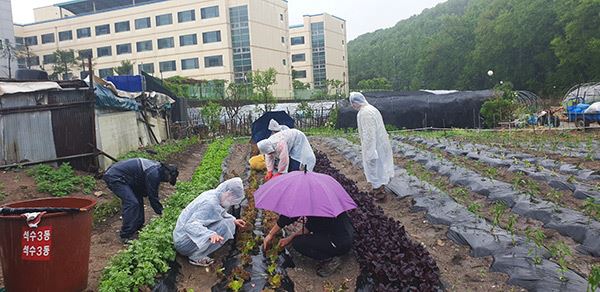 우리동네 마을텃밭 가꾸기