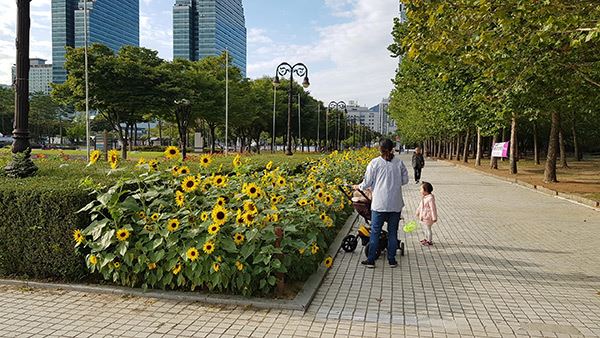 2019년도 평촌중앙공원