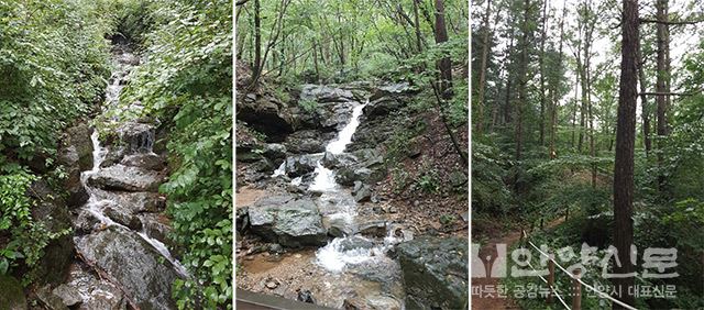 청계산 바라산 휴양림에서 힐링타임으로 코로나 극복한다