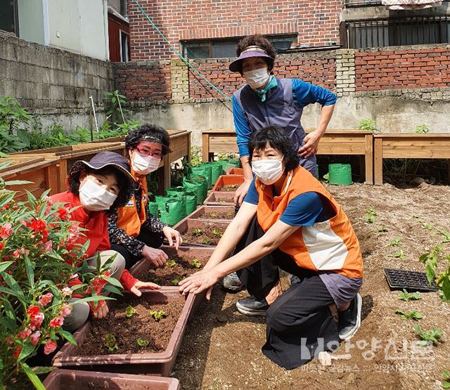 안양4동V터전 율목종합사회복지관 독거어르신들과 가을국화 심기 행사 가져..