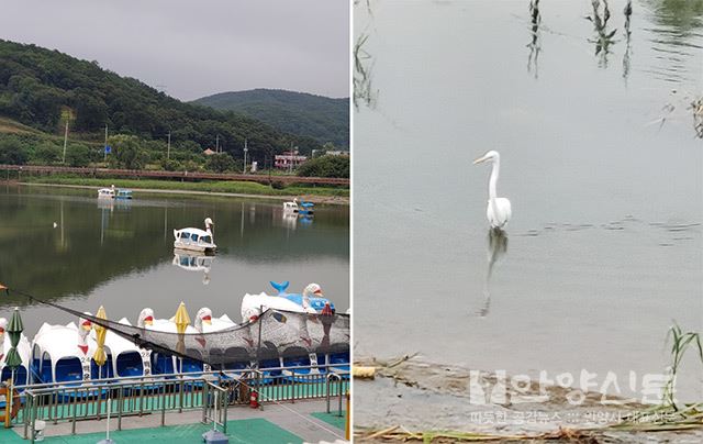 한여름의 시원한 경치를 느껴보는 백운호수 둘레길