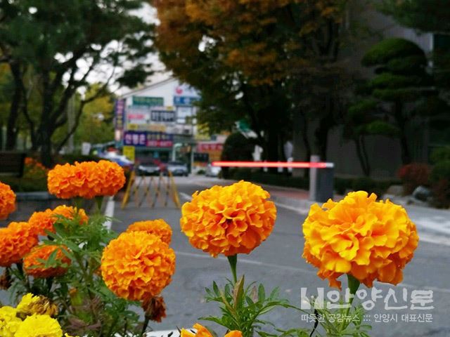 주민과 이웃들이 모두 한가족, 소통과 화합으로 행복한 ‘꿈마을 한신아파트’