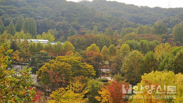 코로나19로 지친 일상 서울대공원에서 힐링하세요