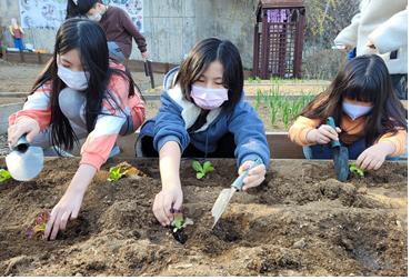 텃밭 활동 시행 ‘우리는 꼬마농부입니다!’