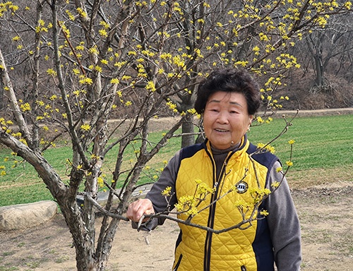 작은 거인 송수돈 어머니 인생 에세이