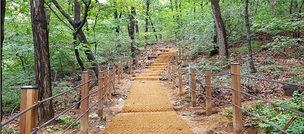 안양시, 금년 등산로 10km구간 정비.‘숲길정비 사업’3억원 투입