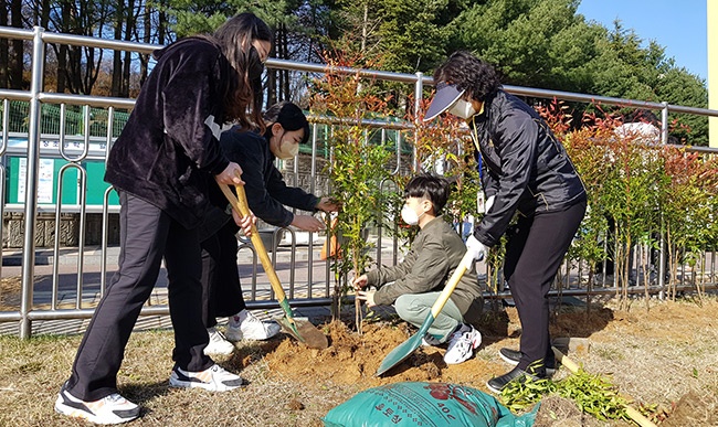 화창초등학교, 꿈을 심는 식목행사 실시