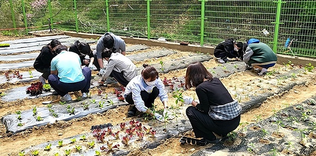 심고, 가꾸고, 나누면 행복해져요