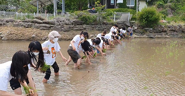 안양신기초등학교, 시골마을을 채운 초등학생들의 맑은 웃음... 도농체험학습 실시