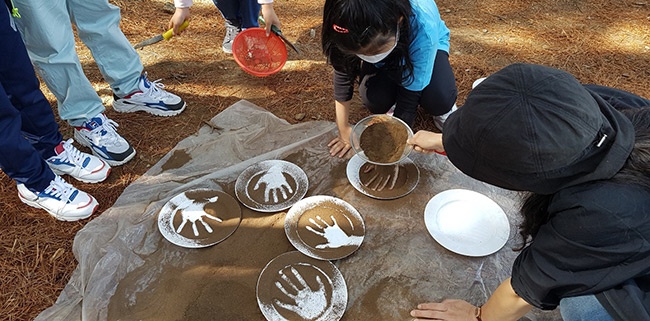 호성초등학교, 생명이 숨쉬는 힐링 숲체험 프로그램 실시