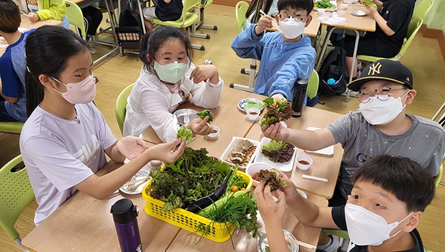 삼성초등학교, 5학년 도시농부 체험 활동 결실... 쌈으로 꽃 피워