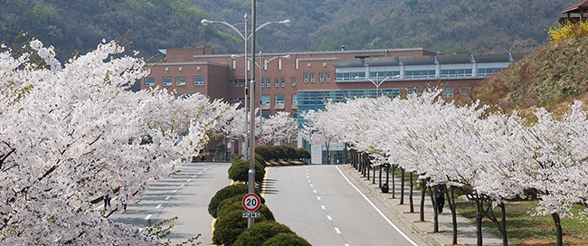 안양대학교 체육학과 신설, 실력 있는 체육 전문가 양성에 주력! 