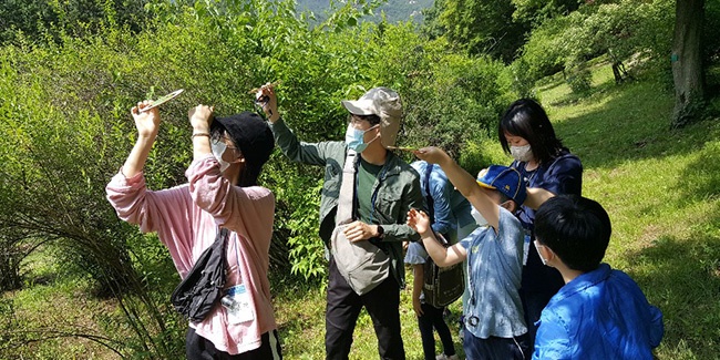 안양시, 4월부터 산림체험 프로그램 운영…사전예약 개시