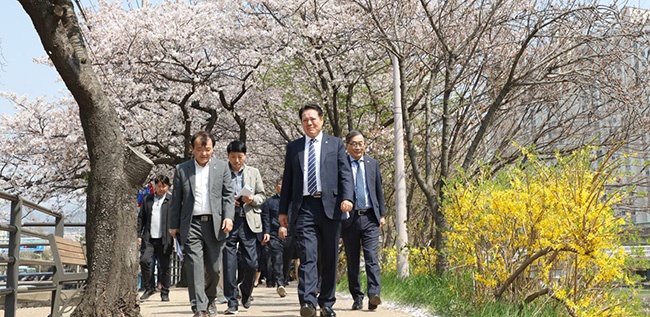 안양시, ‘안양충훈벚꽃축제’ 8~9일 개최