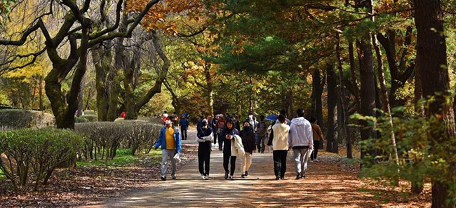 안양시, 관악수목원 4월 15일부터 5월 7일까지 개방