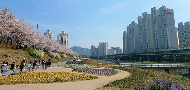 안양시, 안양천 지방정원 조성 추진…2026년 운영 목표